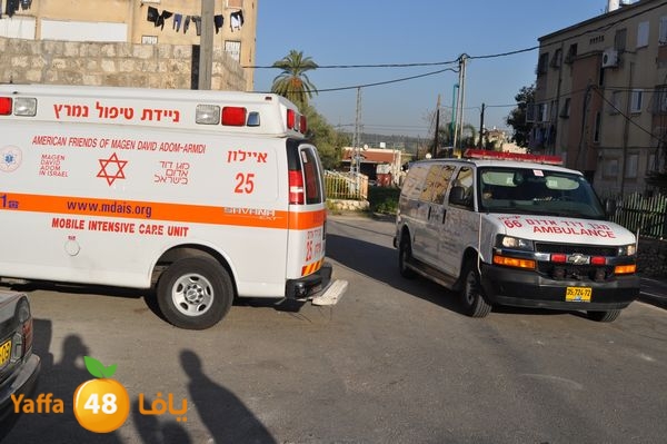 snakeluds310 (6).JPG